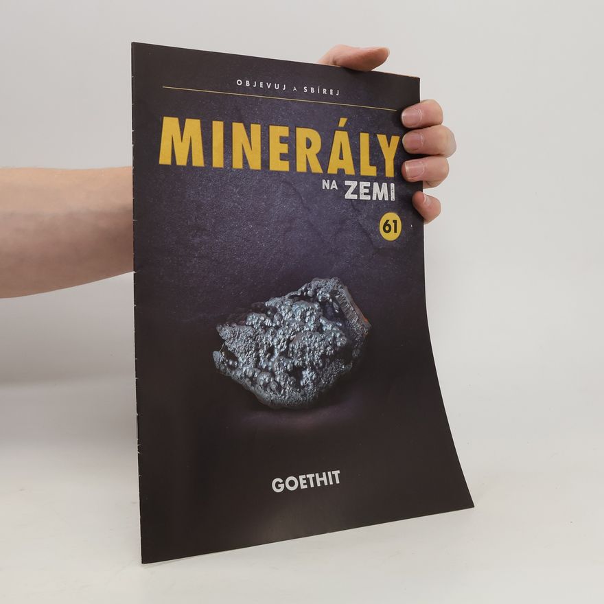 Kolektiv autorů Minerály na zemi 61