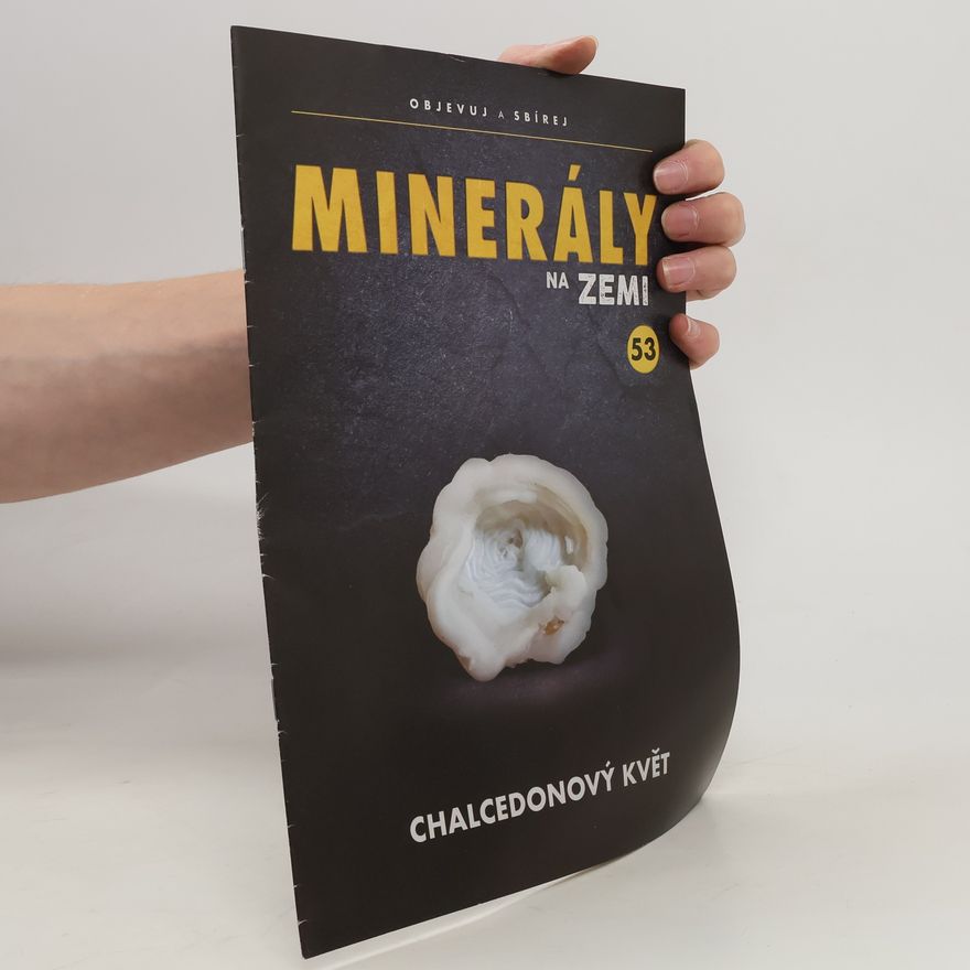 Kolektiv autorů Minerály na zemi 53