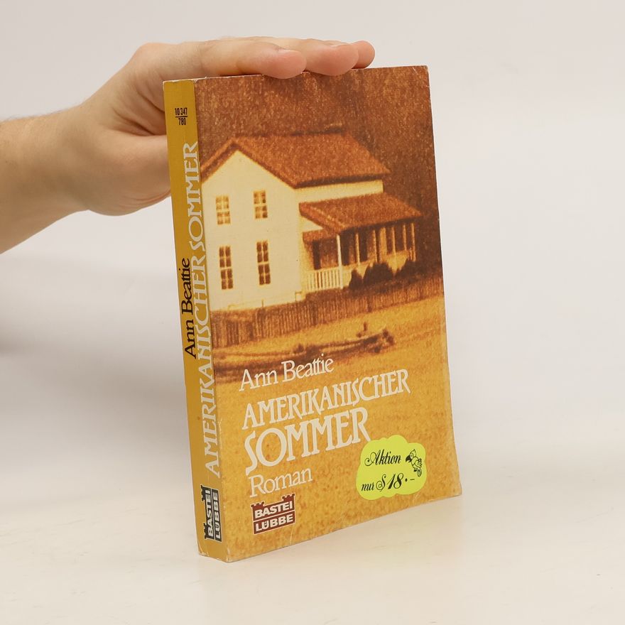 Ann Beattie Amerikanischer Sommer