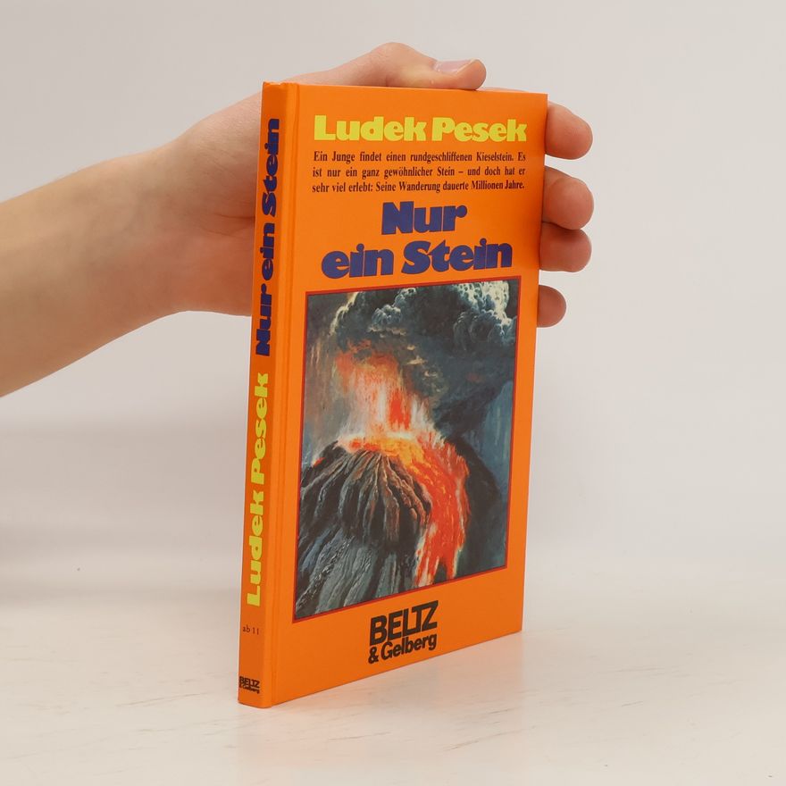 Luděk Pešek Nur ein Stein