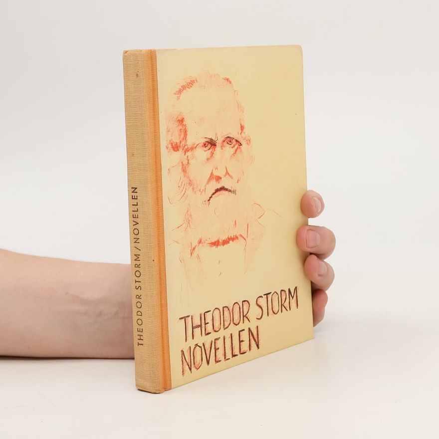 Theodor Storm Novellen