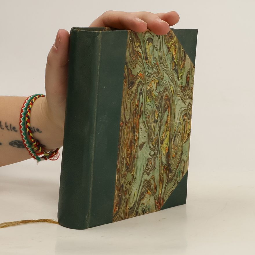 Božena Viková Kunětická Staří mládenci (Lumír 1891)