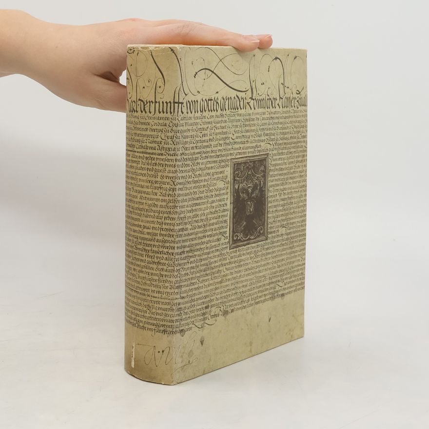 Maria Zelzer Geschichte von der Stadt Donauwörth. Band 1