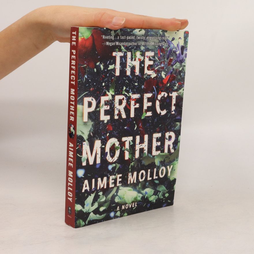 Aimee Molloy The Perfect Mother