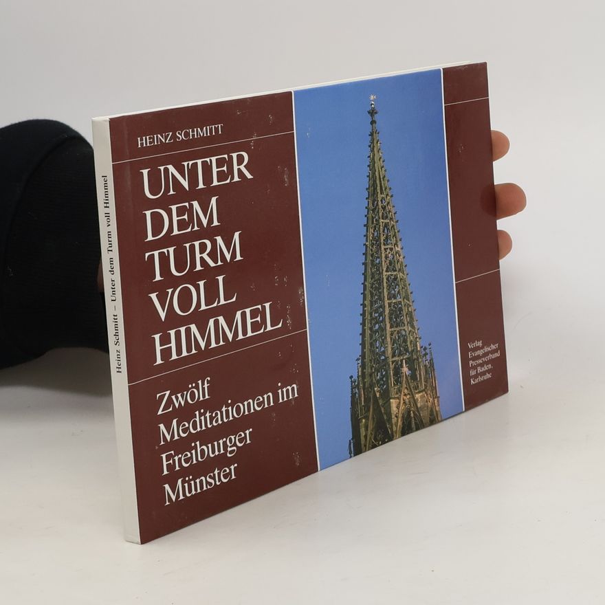 Heinz Schmitt Unter dem Turm voll Himmel. 12 Meditationen im Freiburger Münster