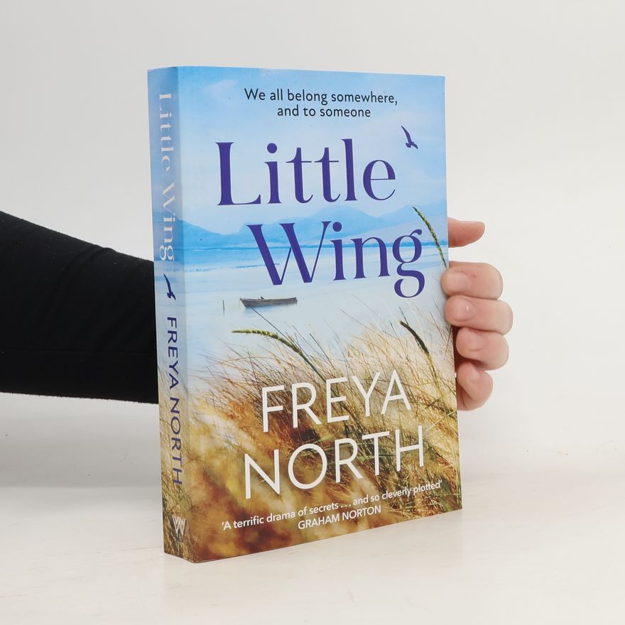 Freya North Little Wing