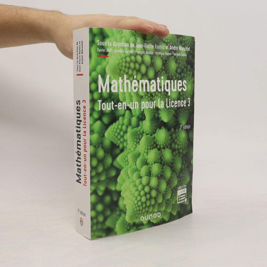 Auteurscollectief Mathématiques Tout-en-un pour la Licence 3