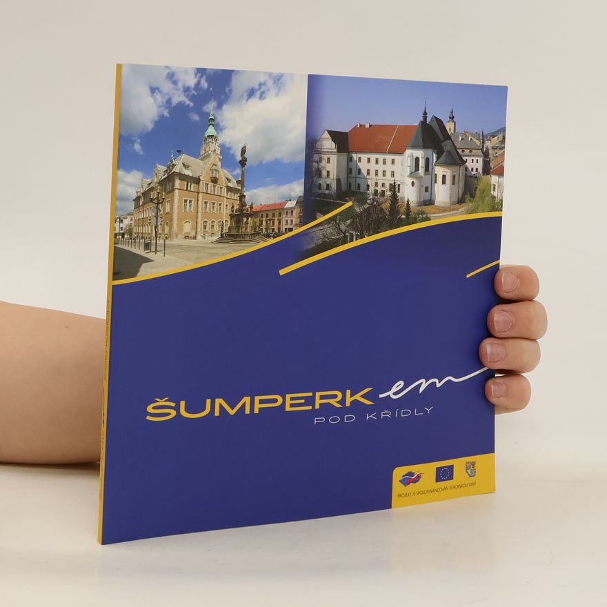 Kolektiv autorů Šumperkem pod křídly