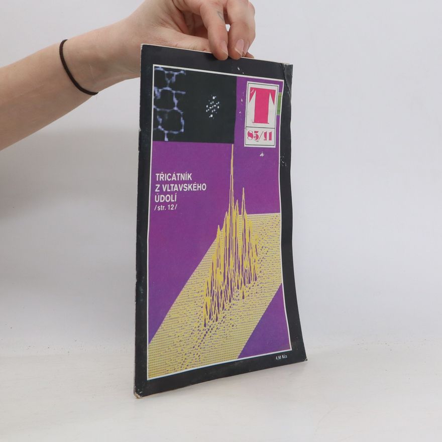 Kolektiv autorů Technický magazín. T 85/11