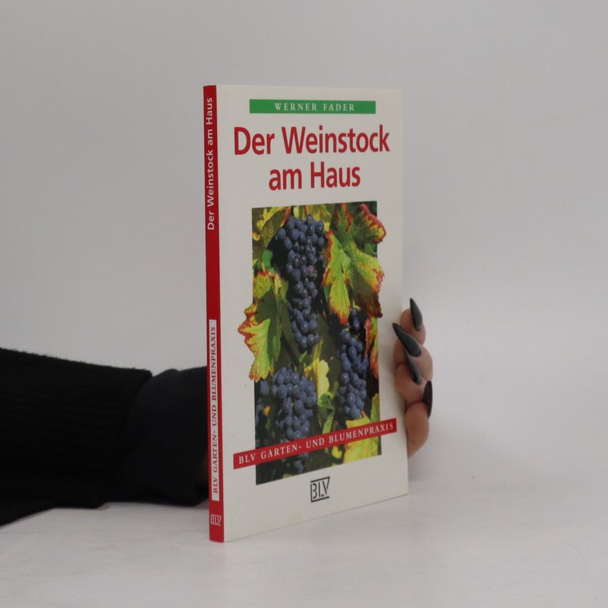 Werner Fader Der Weinstock am Haus