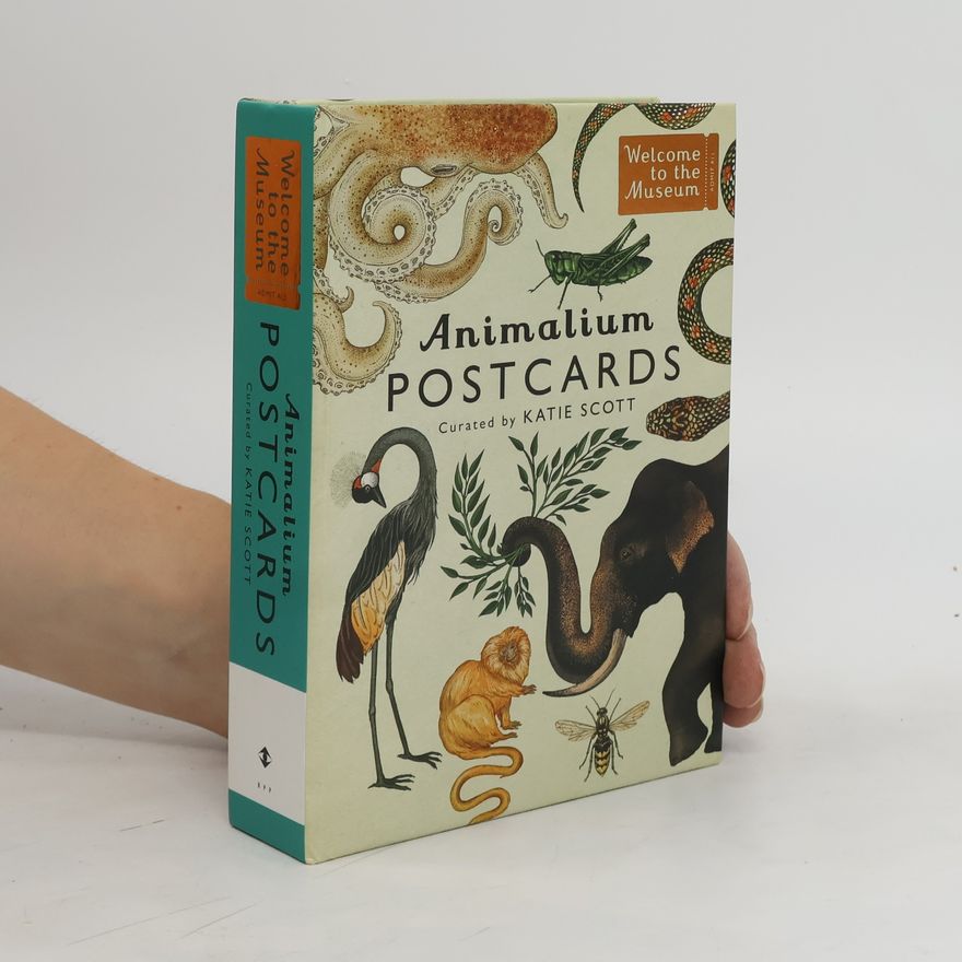 Jenny Broom Animalium : postcards