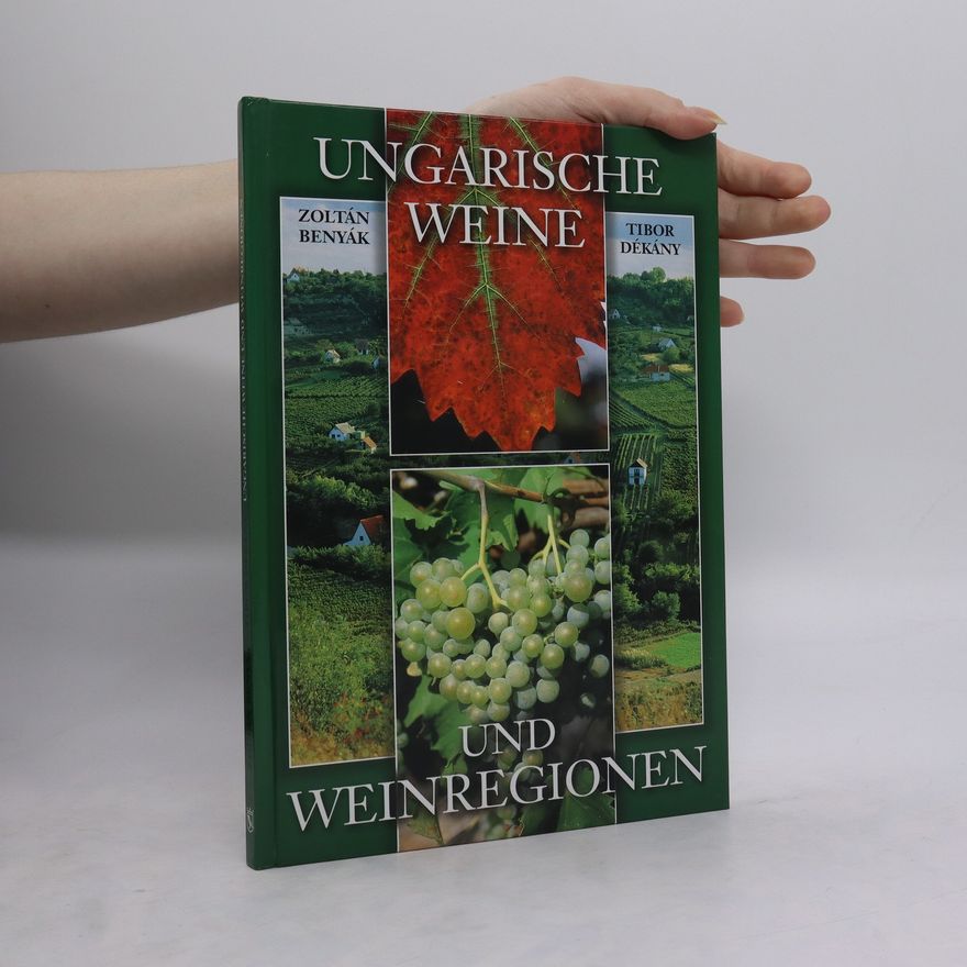 Zoltán Benyák Ungarische Weine und Weinregionen