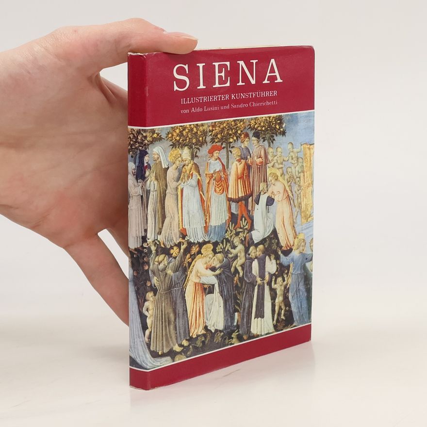 Aldo Lusini Siena. Illustrierter Kunstführer