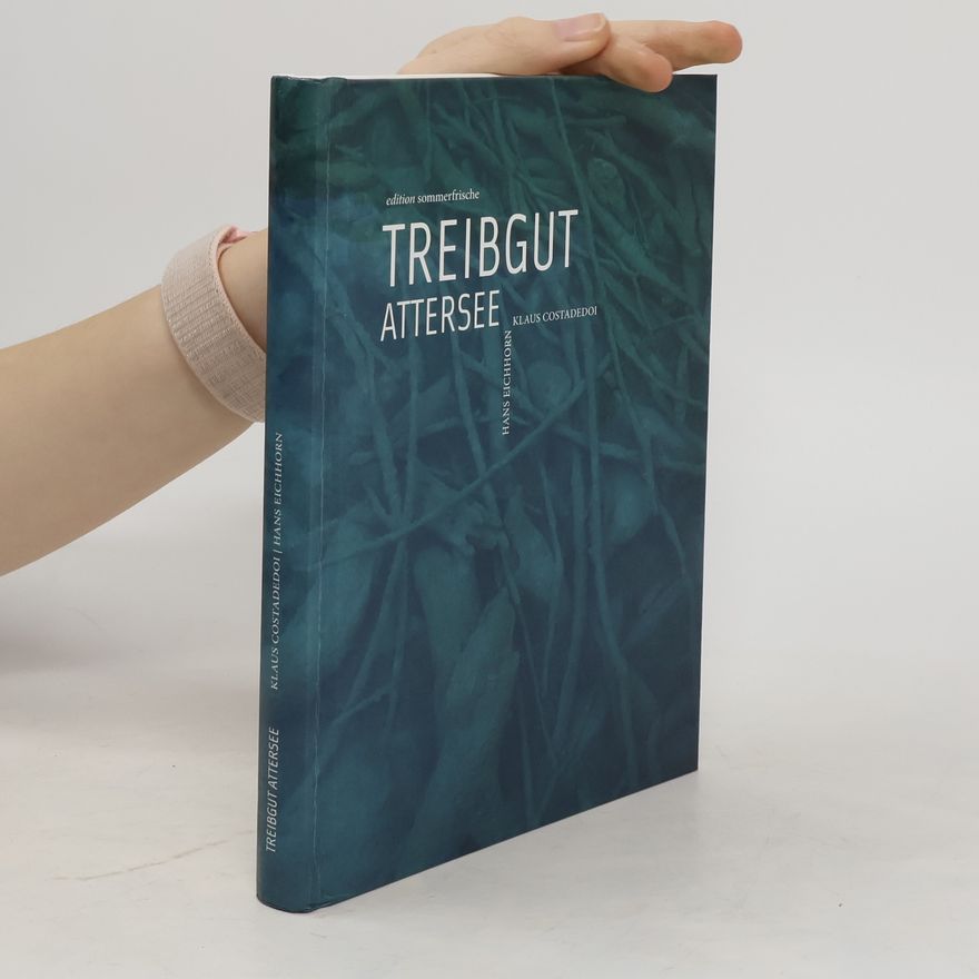 Klaus Costadedoi Treibgut Attersee