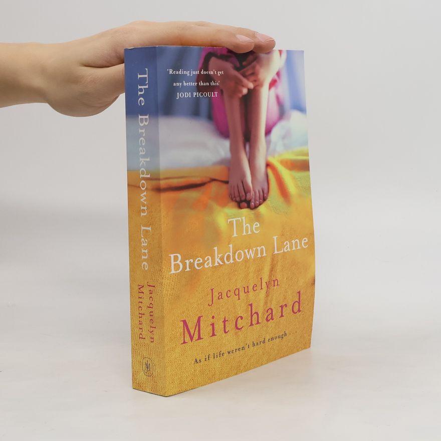 Jacquelyn Mitchard The Breakdown Lane