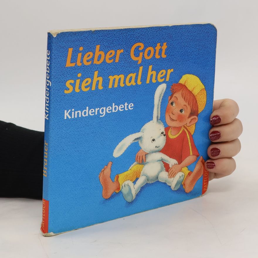Sybille Brauer Lieber Gott sieh mal her