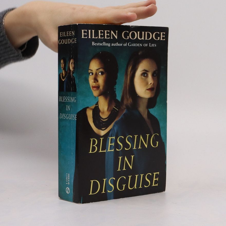Eileen Goudge Blessing in Disguise