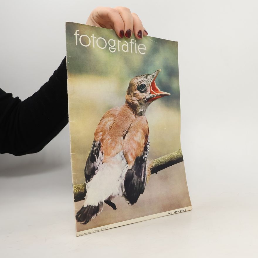 Autorenkollektiv Fotografie 6/1962