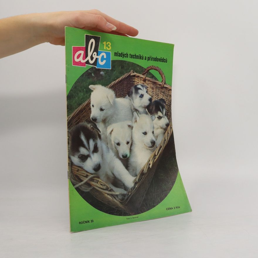 Autorenkollektiv ABC mladých techniků a přírodovědců 13. Ročník 33