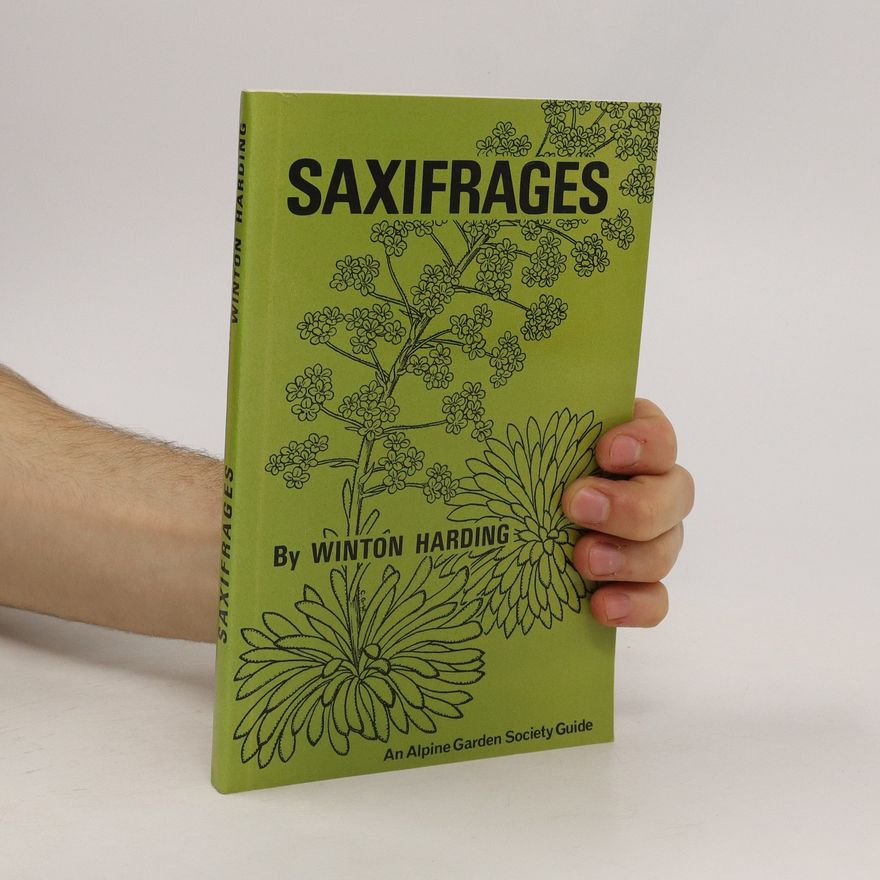Winton Harding Saxifrages