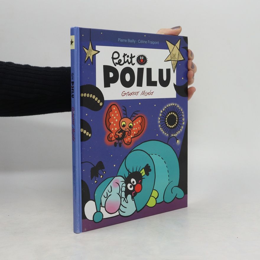 Pierre Bailly Petit Poilu: Grosso Modo