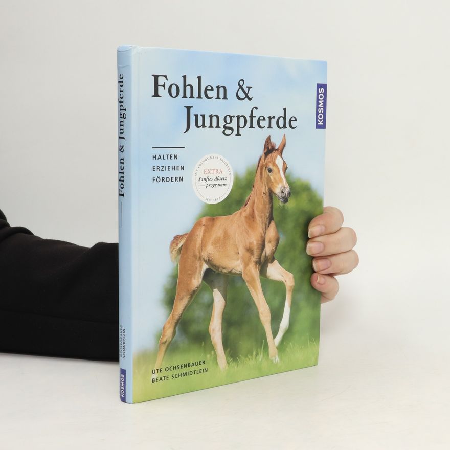 Beate Schmidtlein Fohlen und Jungpferde