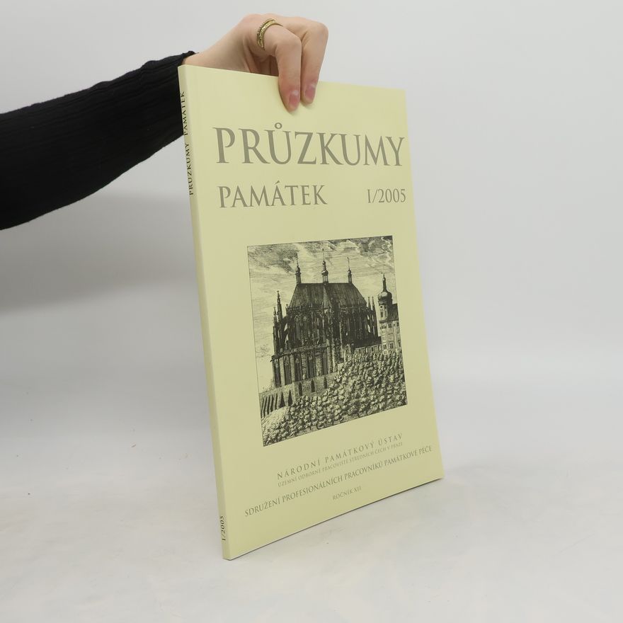 Autorenkollektiv Průzkumy památek I/2005