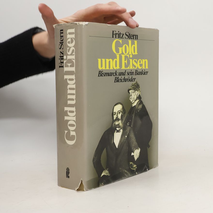 Fritz Stern Gold und Eisen
