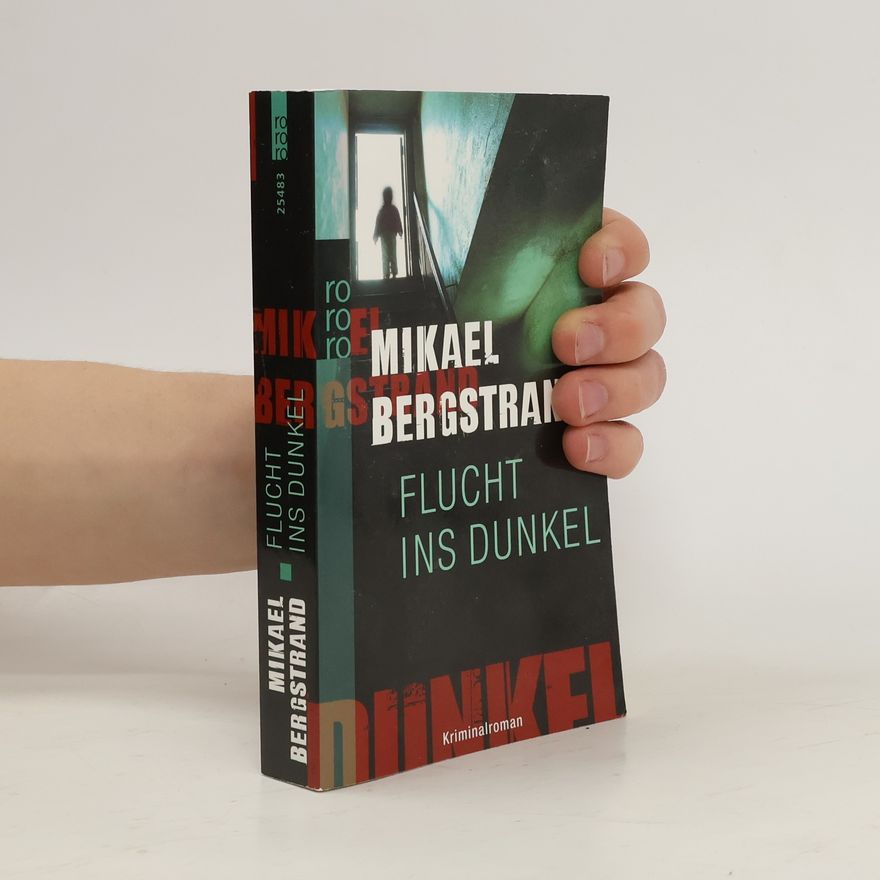 Mikael Bergstrand Flucht ins Dunkel