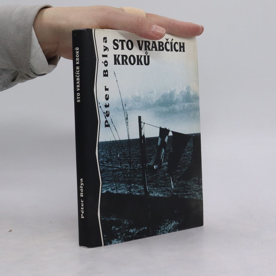 Peter Bólya Sto vrabčích kroků