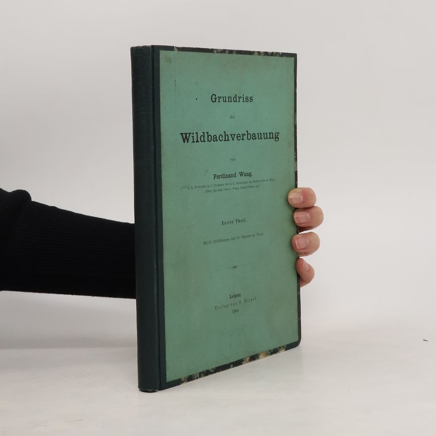 Ferdinand Wang Grundriss der Wildbachverbauung