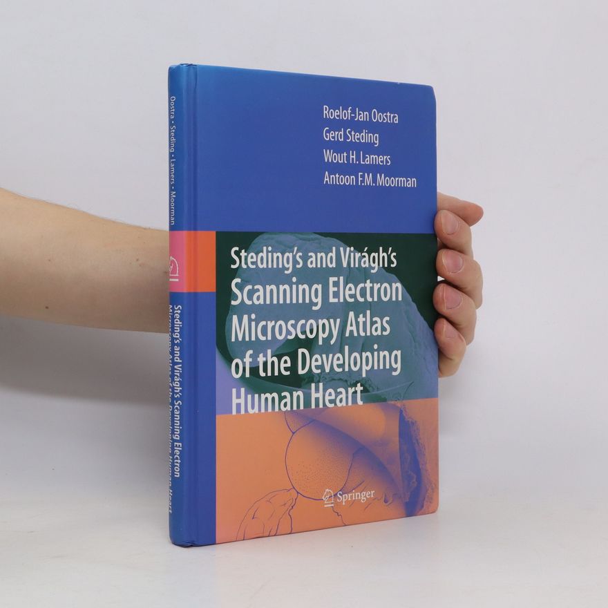 Autorenkollektiv Steding's and Virágh's Scanning Electron Microscopy Atlas of the Developing Human Heart