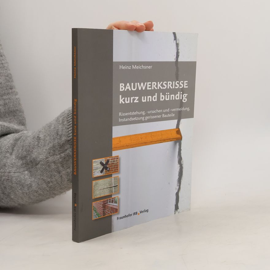 Heinz Meichsner Bauwerksrisse kurz und bündig