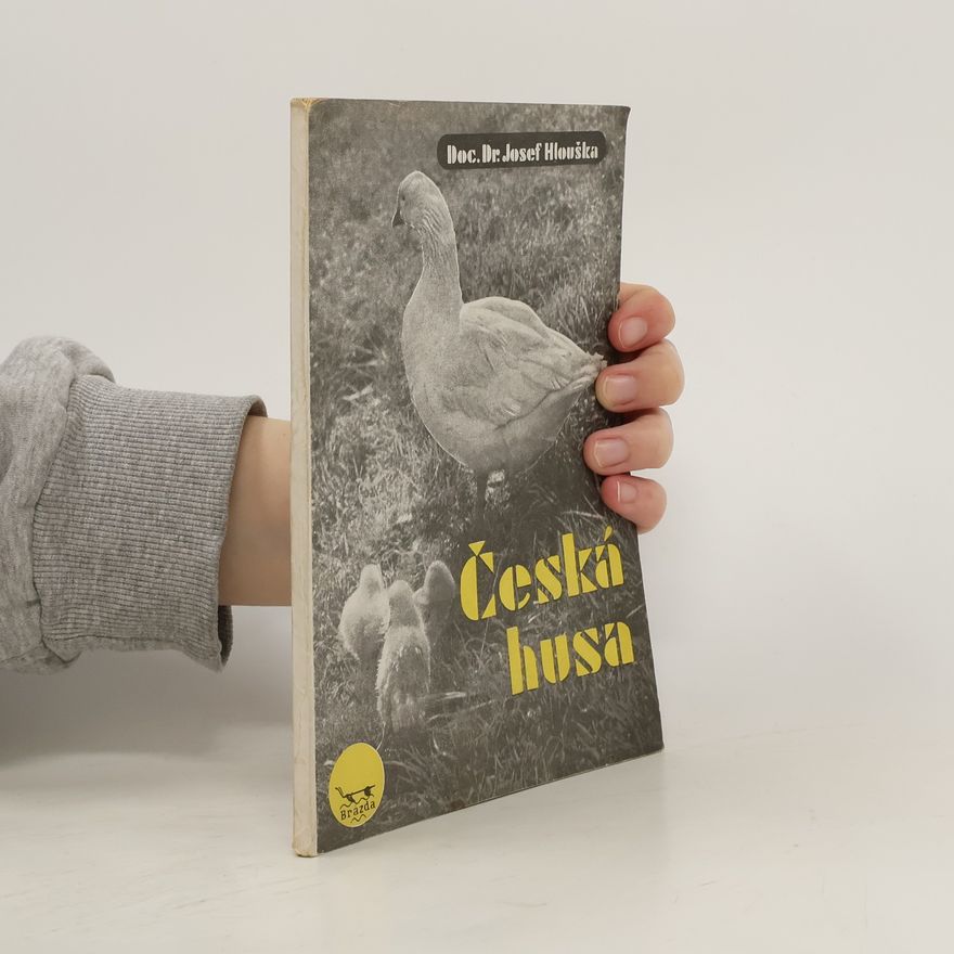 Josef Hlouška Česká husa