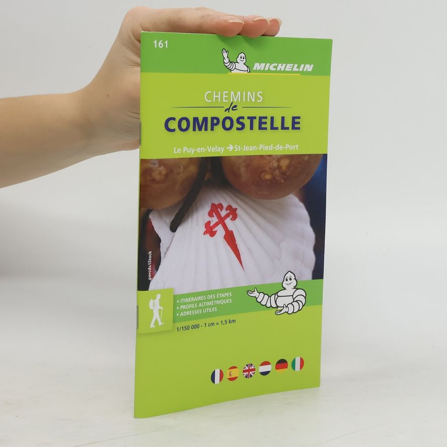 Autorenkollektiv Michelin Karte Chemins de Compostelle