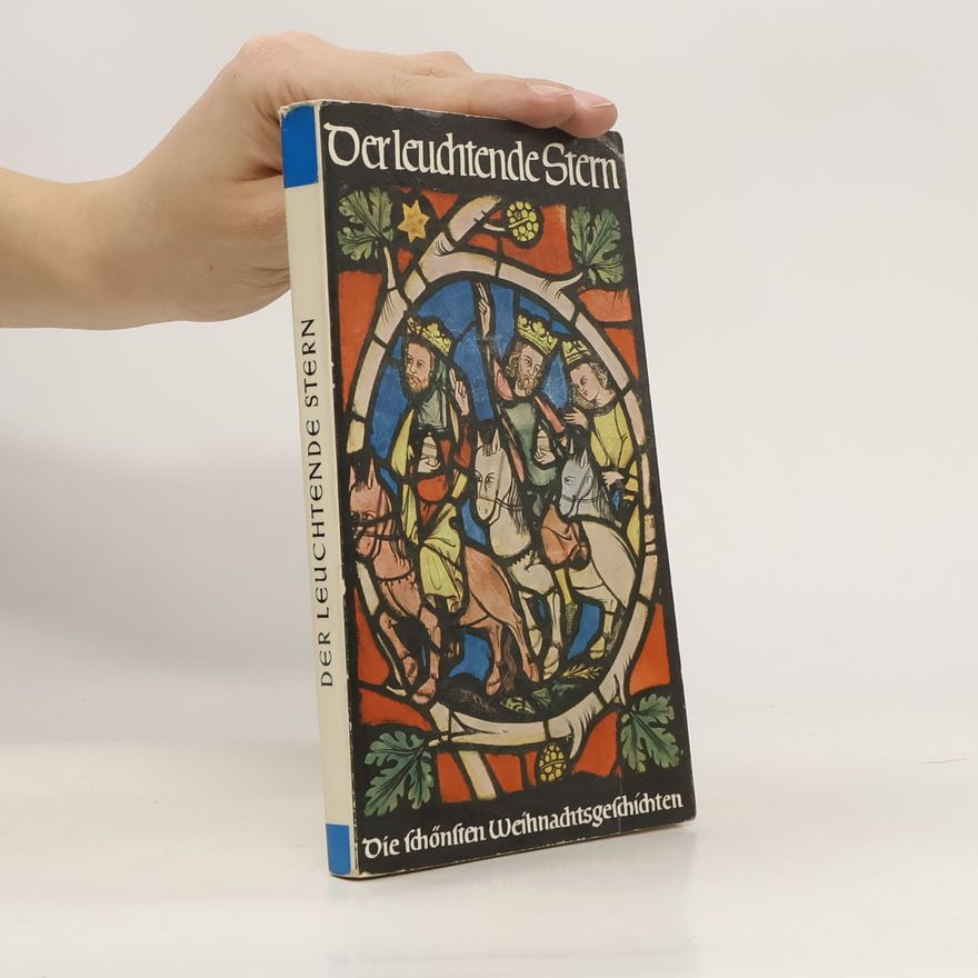 Hubert Butterwegge Der leuchtende Stern. Weihnachtliche Erzählungen