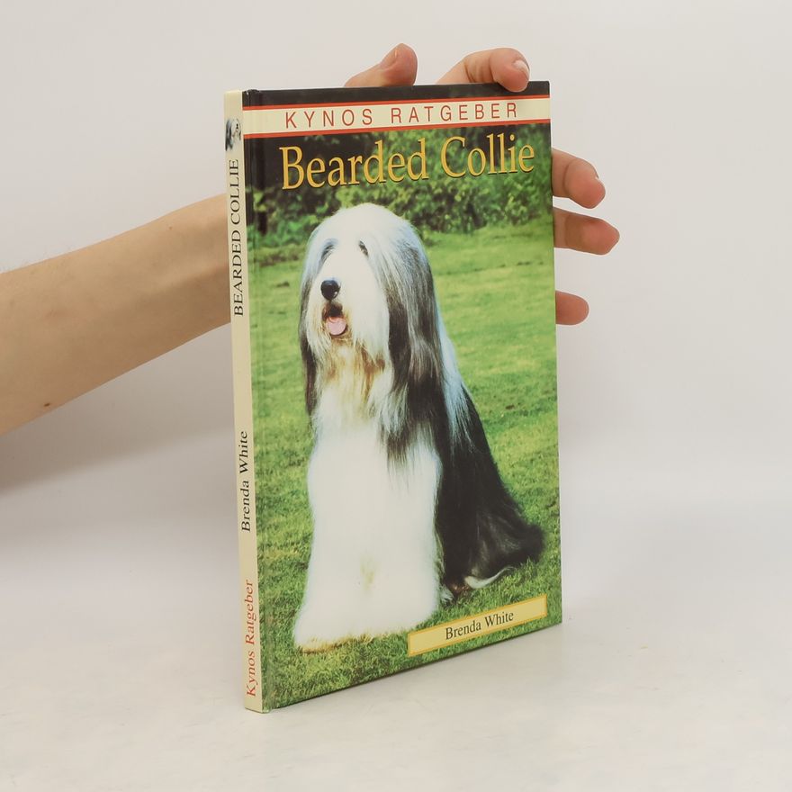 Brenda White Bearded Collie