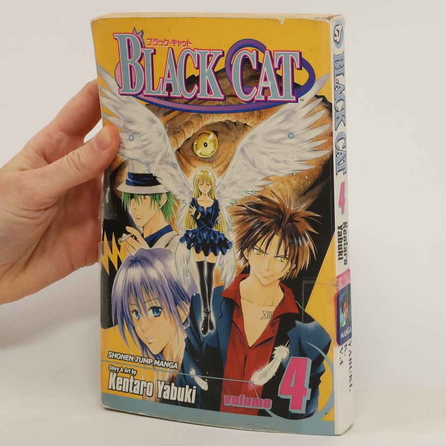 Kentaro Yabuki Black Cat 4