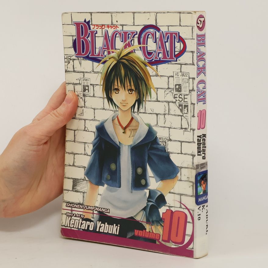 Kentaro Yabuki Black Cat, Vol. 10