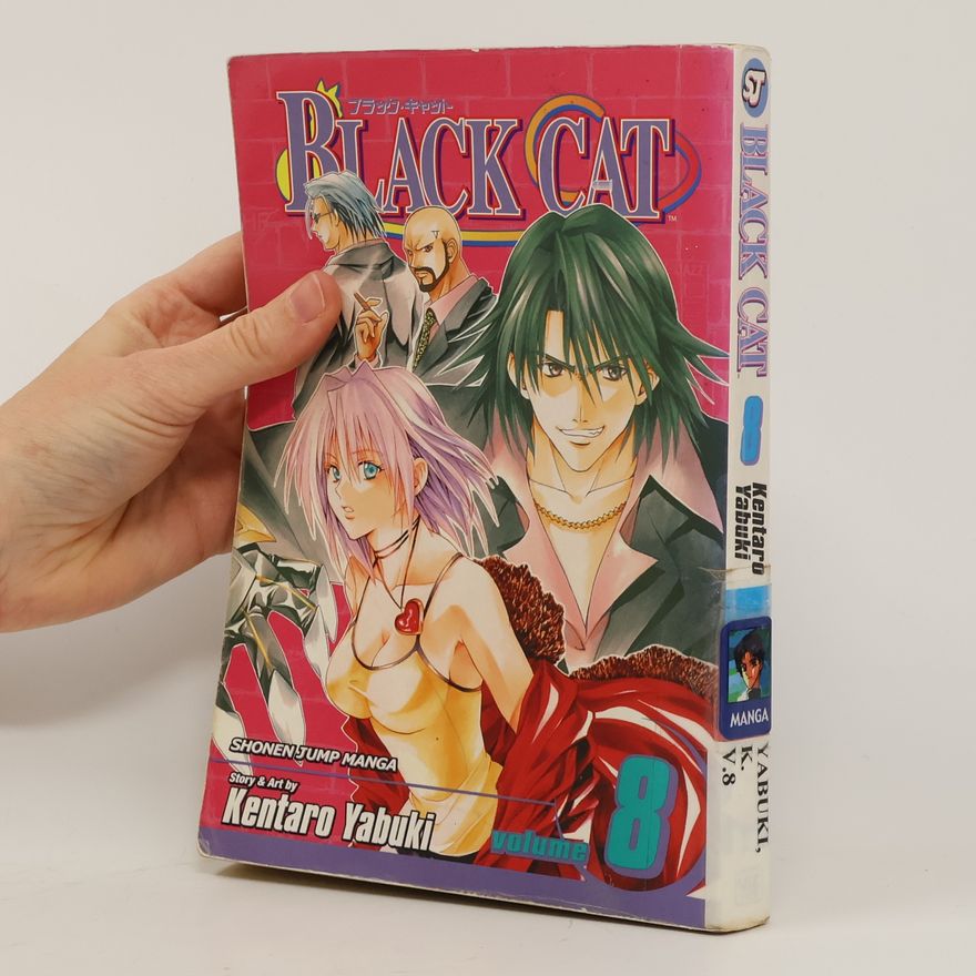 Kentaro Yabuki Black Cat 8
