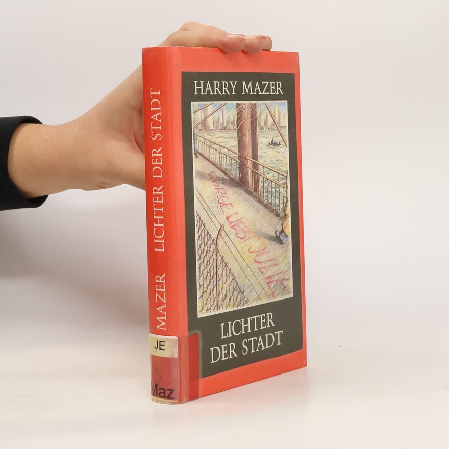 Harry Mazer Lichter der Stadt