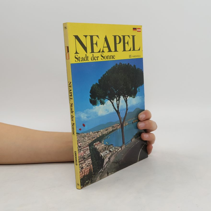 Autorenkollektiv Neapel. Stadt der Sonne