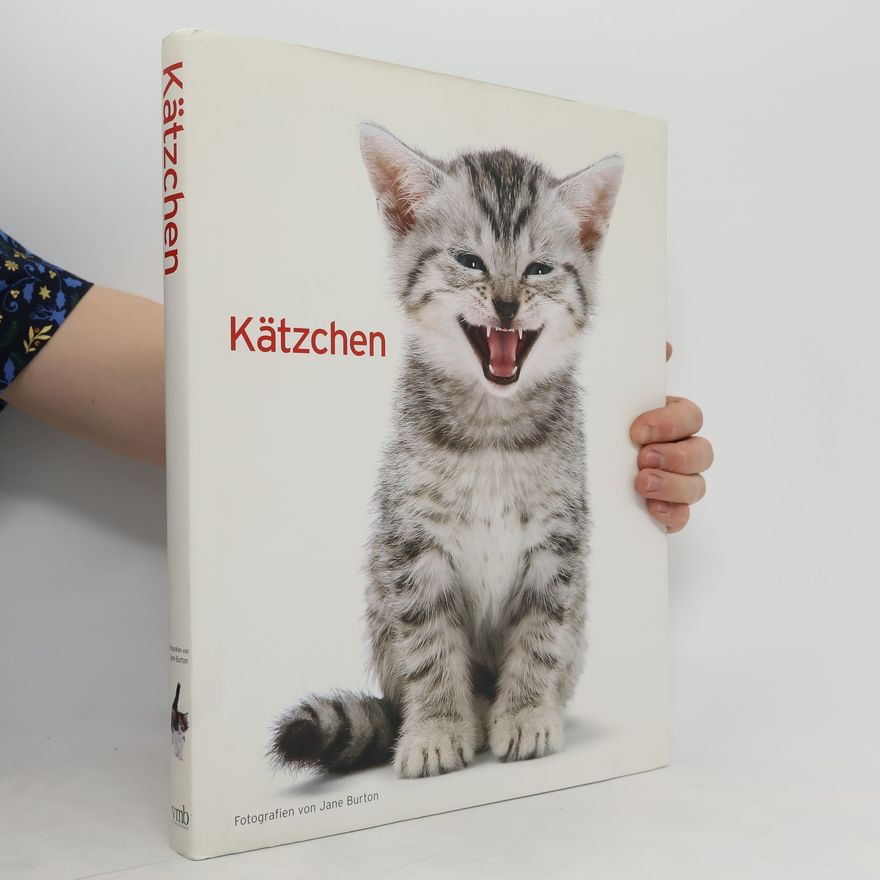 Various authors Kätzchen