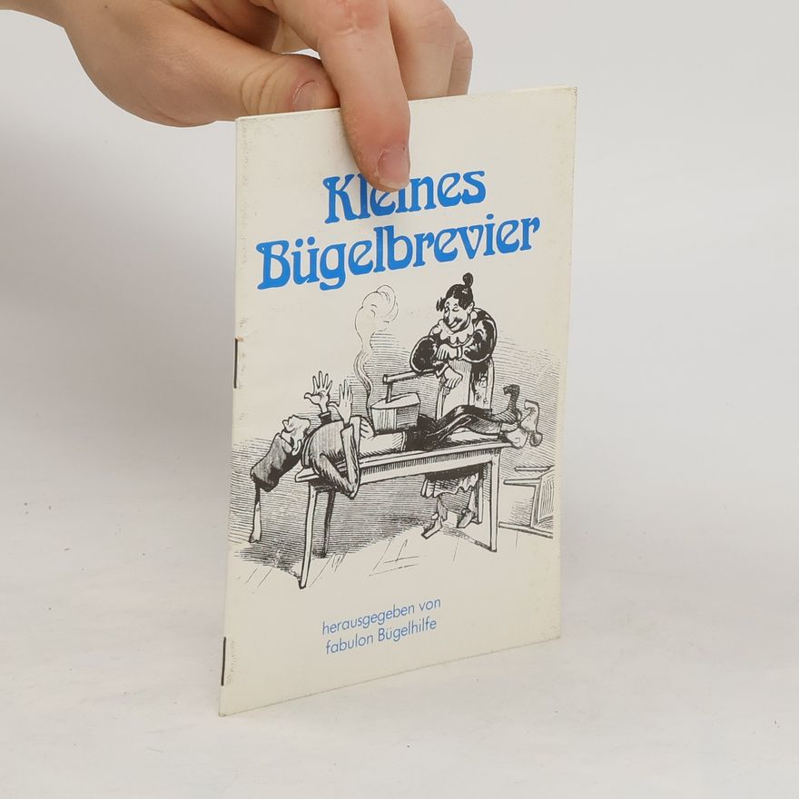 Autorenkollektiv Kleines Bügelbrevier