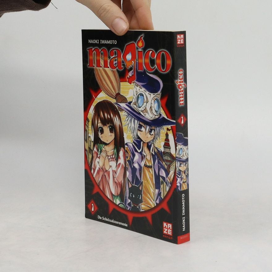 Iwamoto, Naoki Magico 1