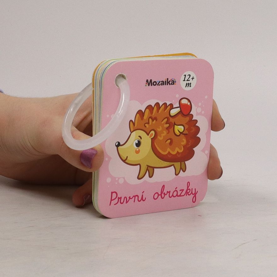 Kolektiv autorů První obrázky 12+