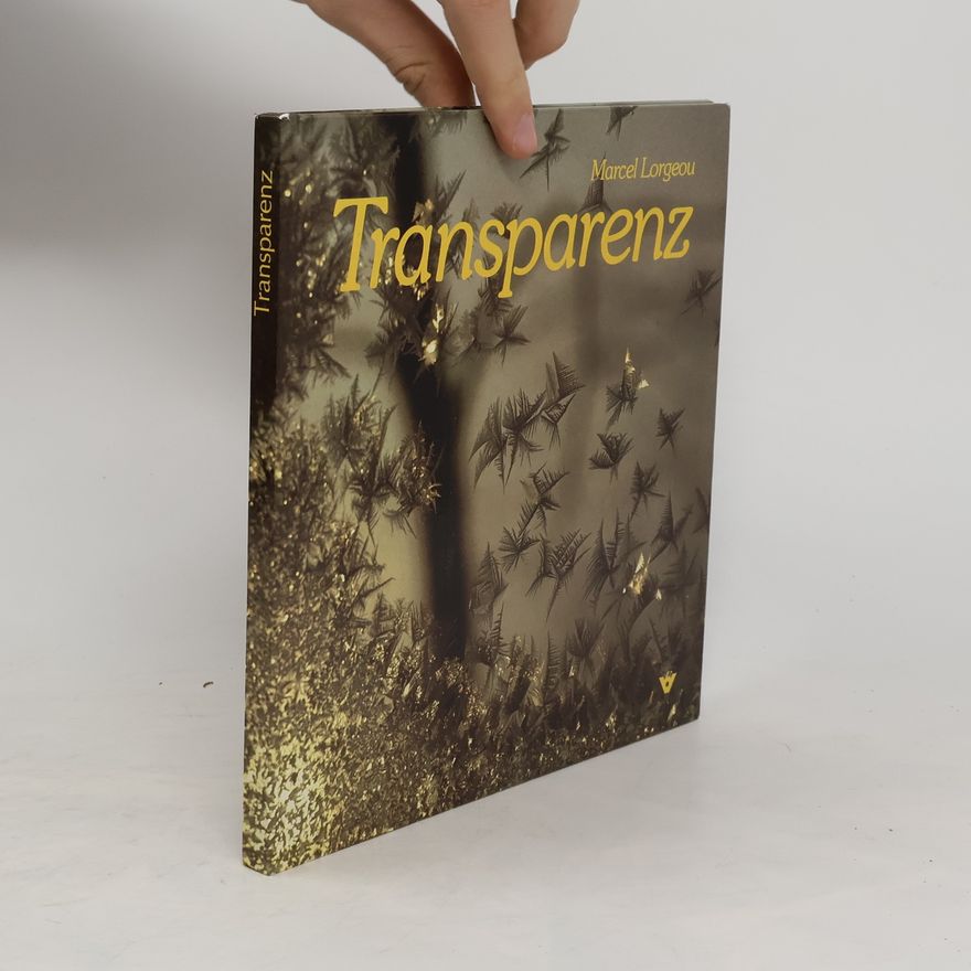 Marcel Lorgeou Transparenz