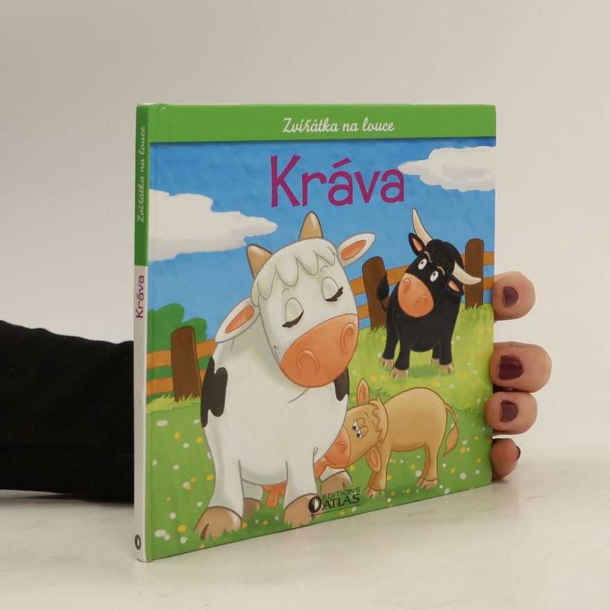 Autorenkollektiv Zvířátka na louce. Kráva, býk a tele