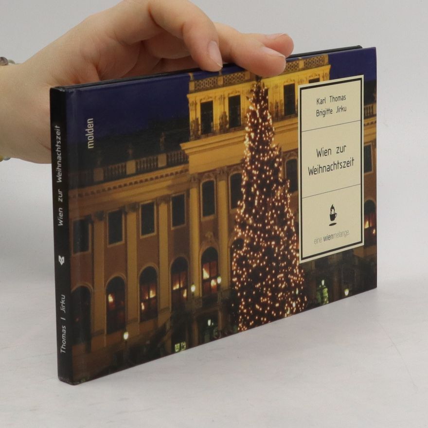 Thomas-Karl Sauter Wien zur Weihnachtszeit