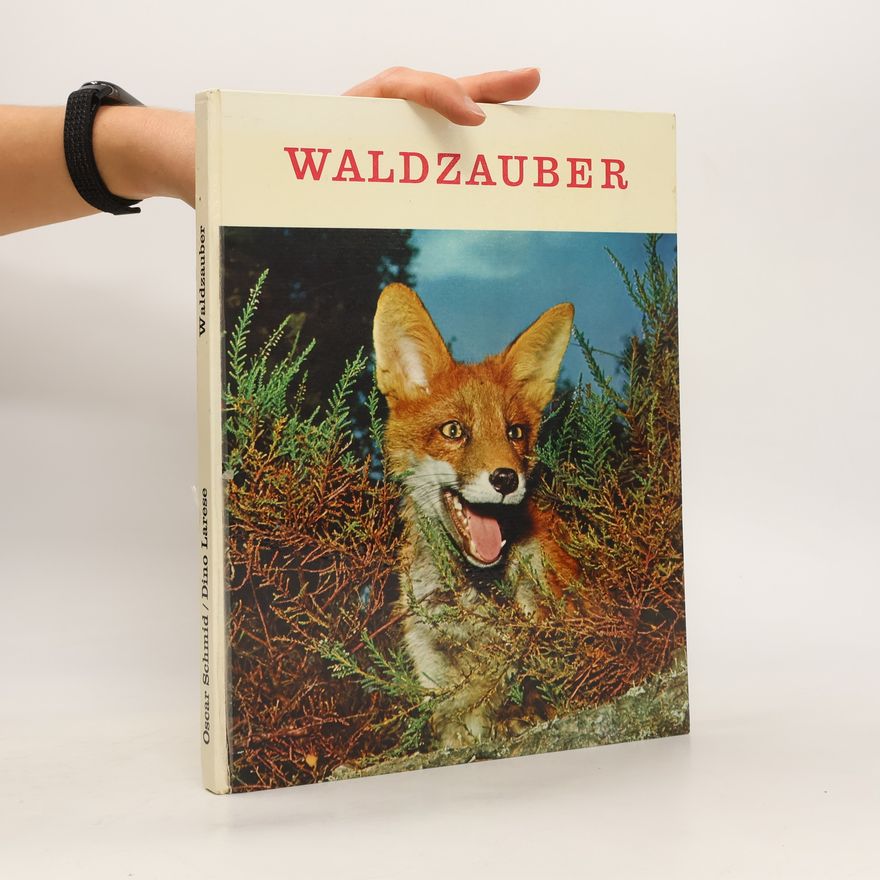 Dino Larese Waldzauber
